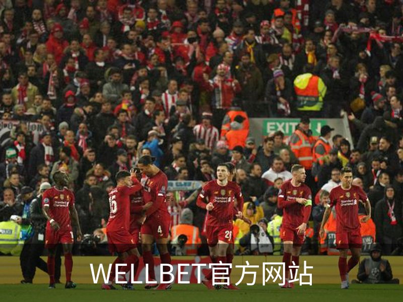 WELLBET官方网站概况
